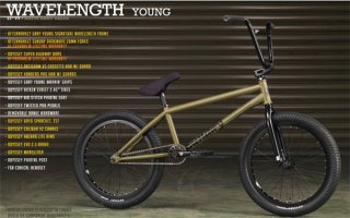 BMX ストリートSUNDAY 完成車【フルクロモリ・フリコ】 美品 SUNDAY