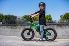 画像3: 【入荷】  MONGOOSE マングース LEGION L16 リージョン L16 GREEN 子供用 BMX (3)