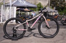 画像2: 2026 HARO Beasley 26 Gloss Stone 15615 (2)