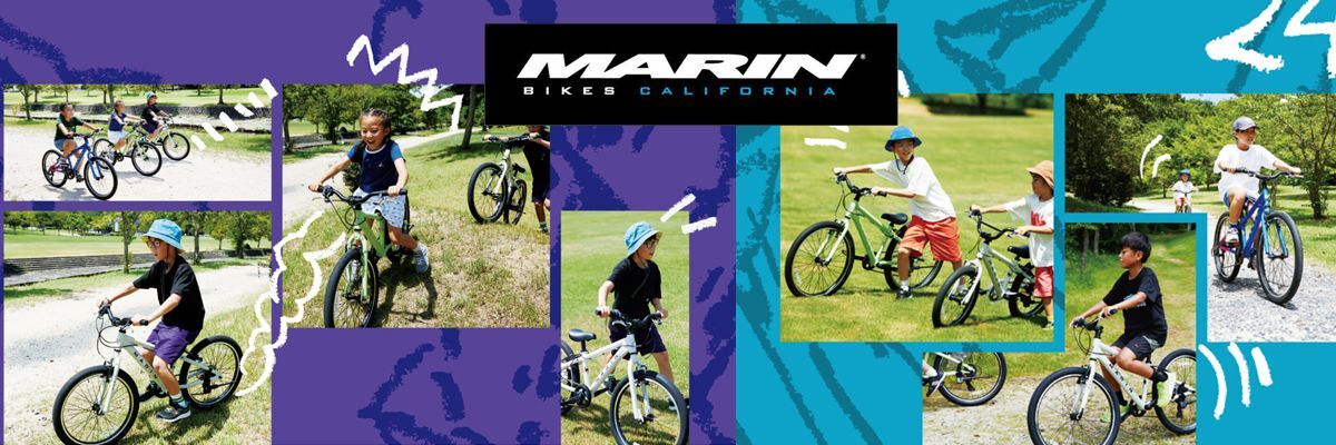 自転車本体 haru Amazon | RICETOO 36V / 48V 250W 16インチ/ 20インチ/ 24インチ