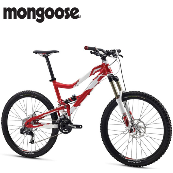 mongoose teocali expert