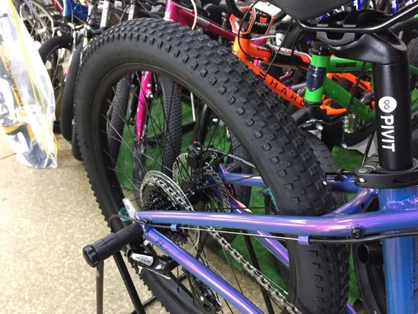 シュ ライン 自転車 24