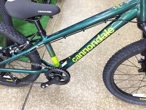 【店舗 在庫あり】 Cannondale キャノンデール Kids Trail 20+ Emerald キッズ 子供用自転車
