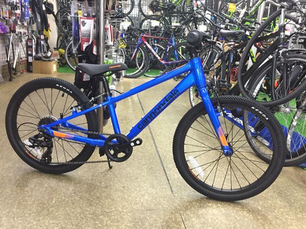 Cannondale キャノンデール Kids Quick 20 Electric Blue キッズ 子供用自転車