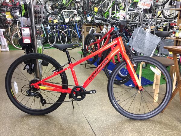 Cannondale キャノンデール Kids Quick 24 Acid Red キッズ 子供用自転車
