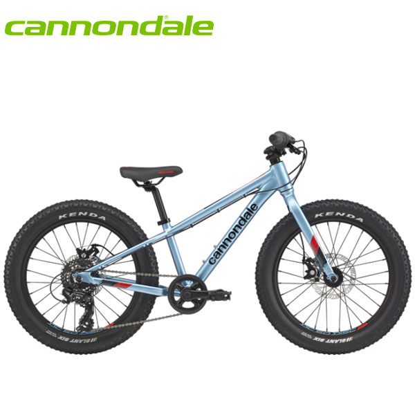 画像1: Cannondale キャノンデール Kids Cujo 20+ Alpine キッズ 子供用自転車 (1)