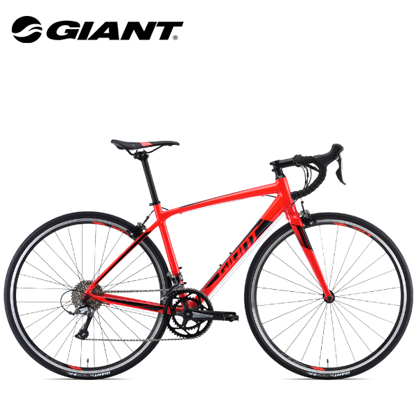 2019 giant contend 2