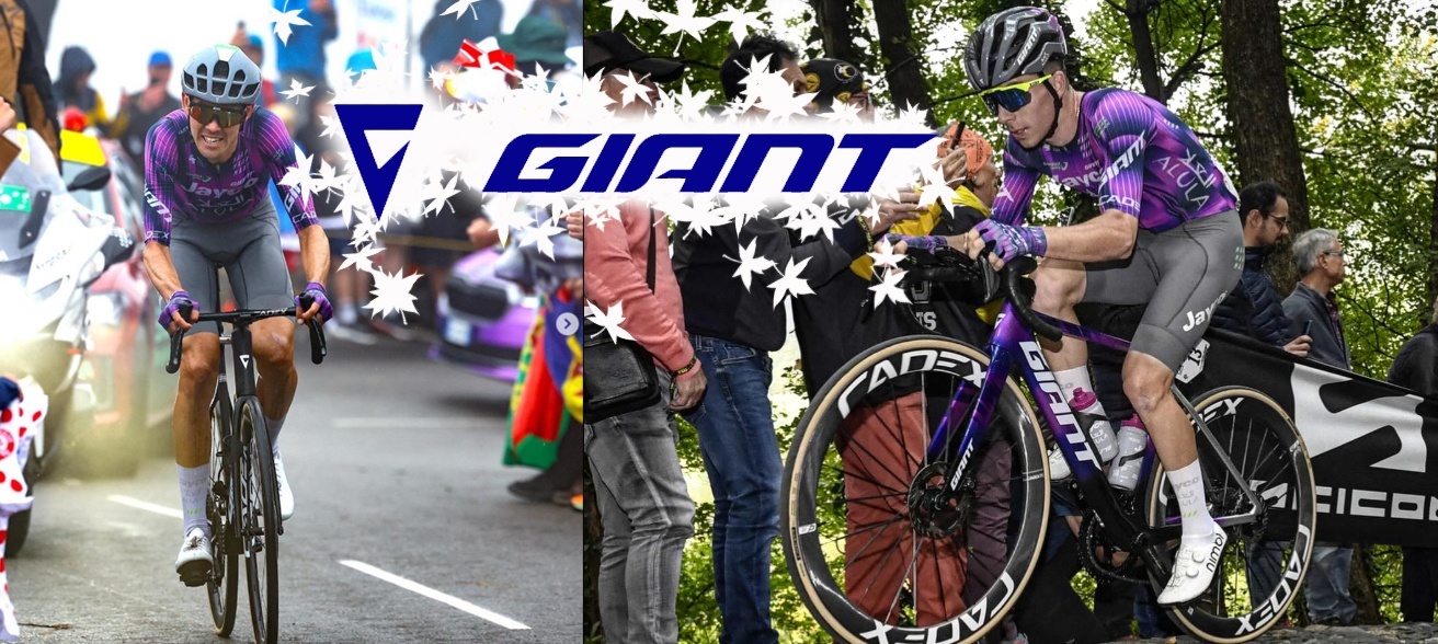 GIANT ジャイアント ロードバイク